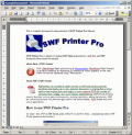 SWF Printer Pro