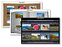 Galleries from Mild to Wild