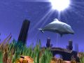 3D Wild Dolphin Giveaway