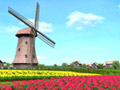 Windmill 3D Screensaver Giveaway