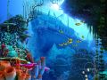 Coral Reef 3D Screensaver Giveaway