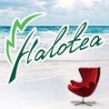 Halotea Giveaway